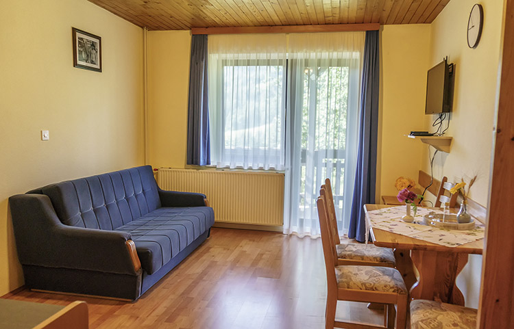 Apartma Bukev dnevna soba